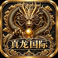 真龙国际